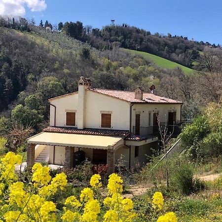 Ca'Rosei Apartment Monteciccardo Luaran gambar