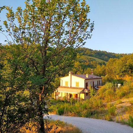 Ca'Rosei Apartment Monteciccardo Luaran gambar