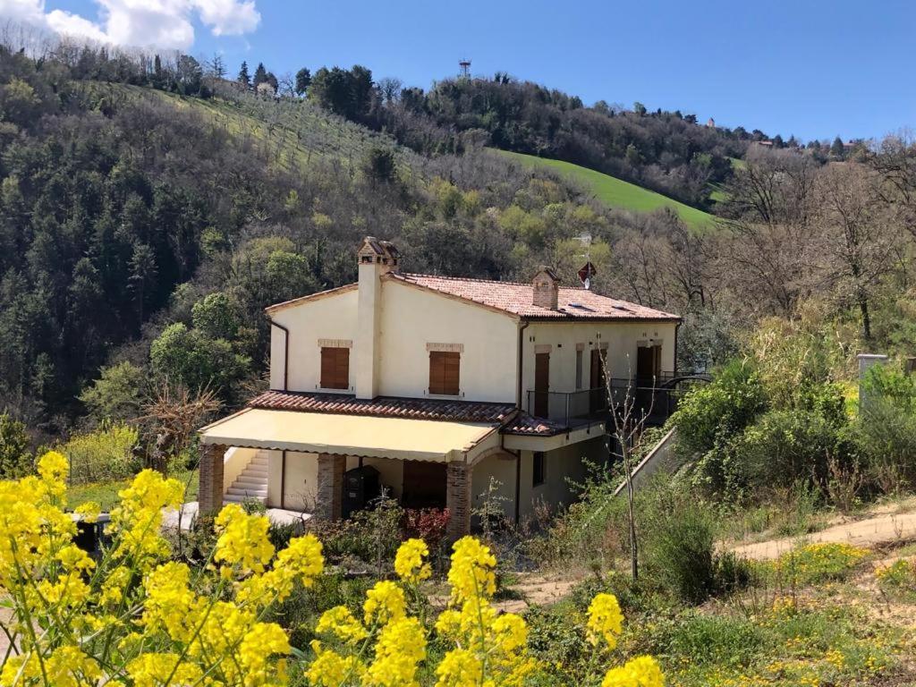 Ca'Rosei Apartment Monteciccardo Luaran gambar